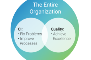 Venn-Diagramm zwischen kontinuierlicher Verbesserung und Qualität, die beide Teil des Gesamtunternehmens sind.